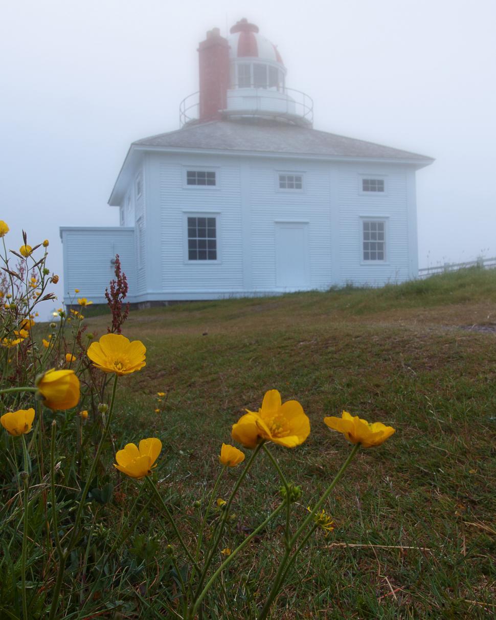Free Image of Lighthouse 