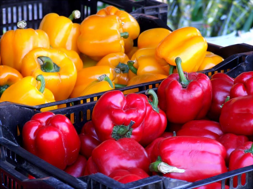 Free Image of Bell Peppers 