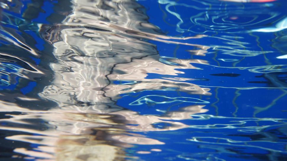 Free Image of Swimming with the Sharks 