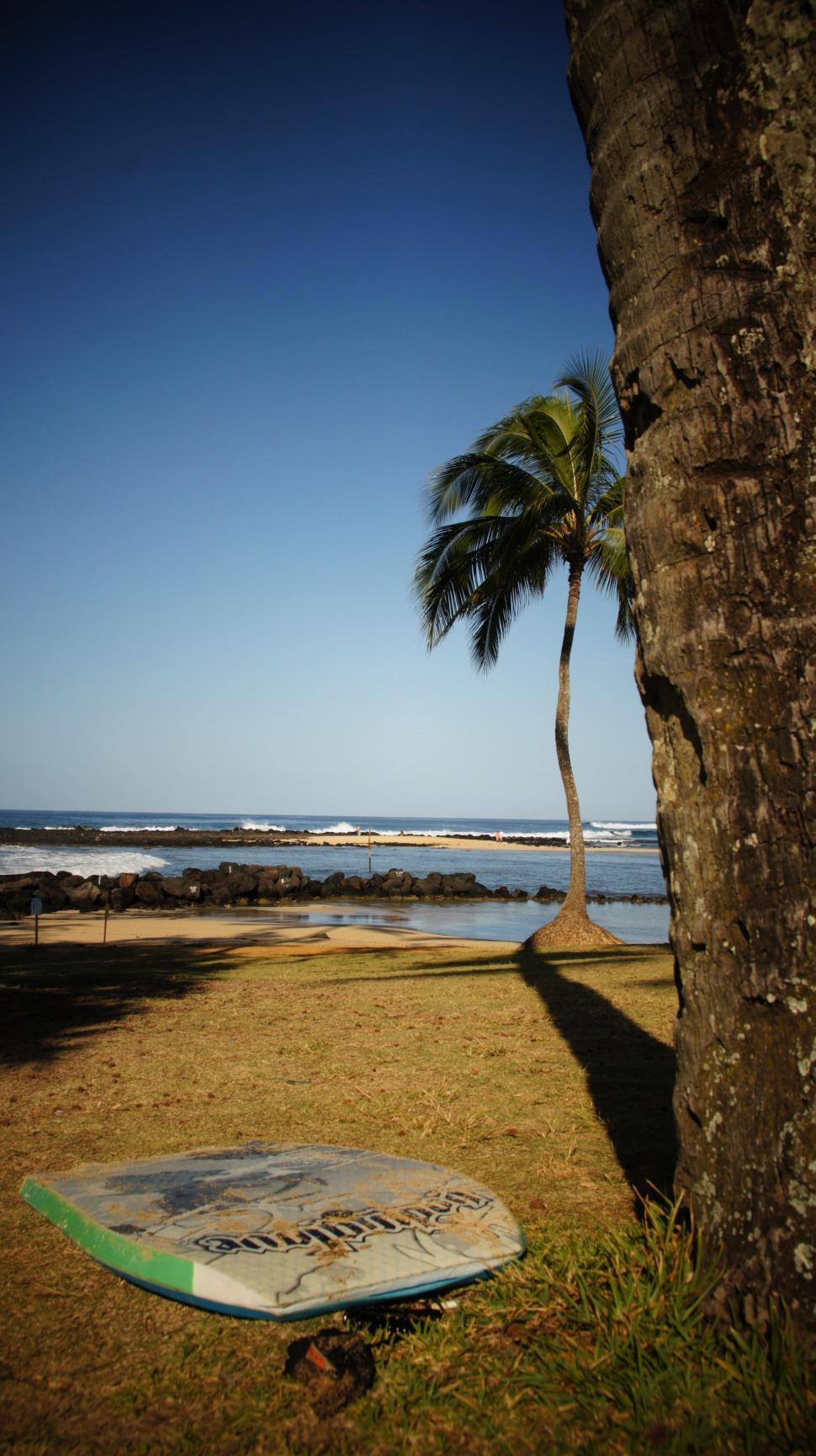 Free Image of Surf Board by the Water 