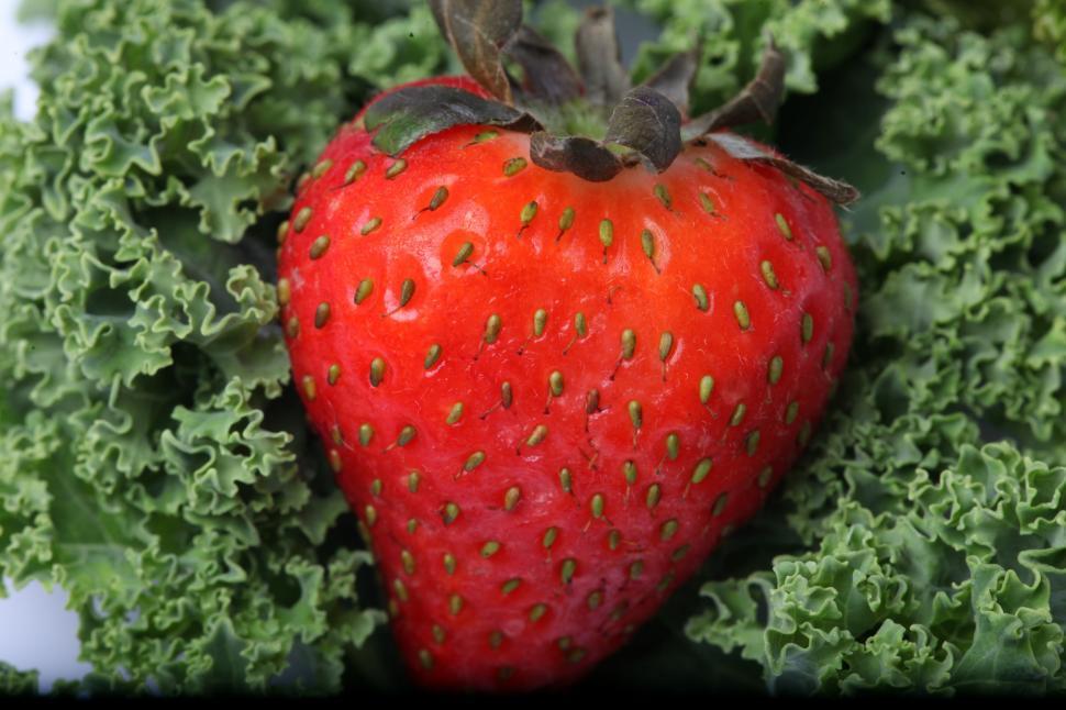 Free Image of Strawberries isolated on white 