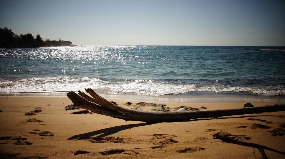 Free Image of Log on the Beach 