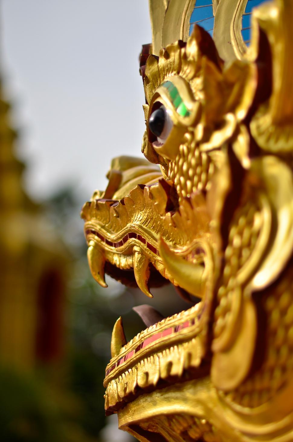Free Image of Face of Dragon 
