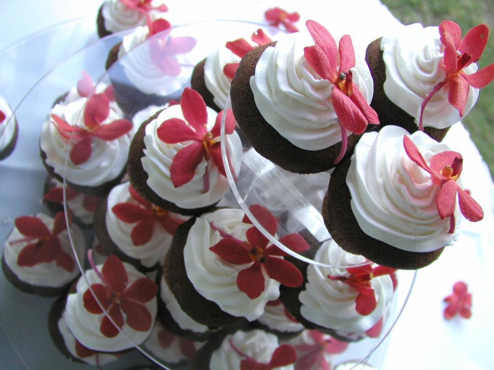 Free Image of Eat Cup Cakes 