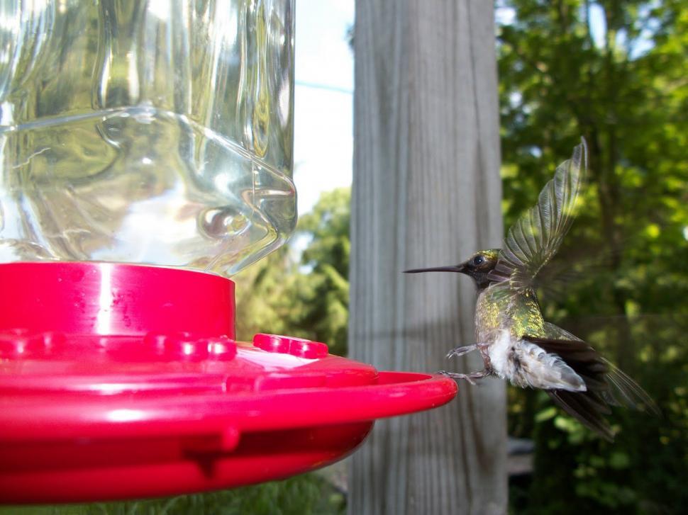 Free Image of Rough Landing 