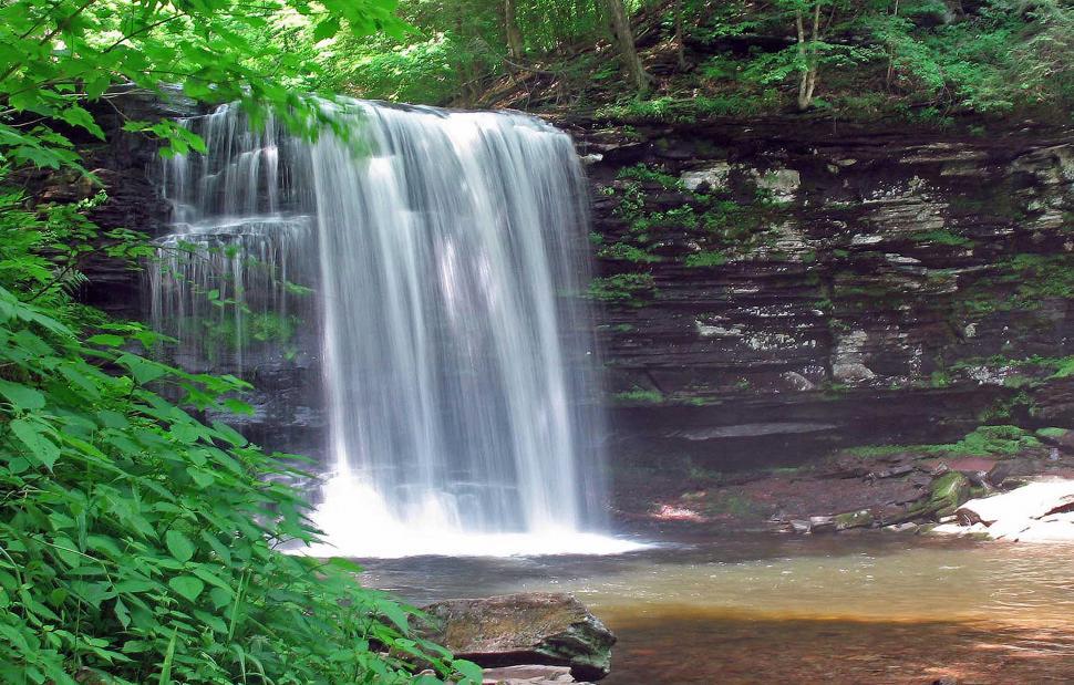 Free Image of Waterfall at Ricketts Glen State Park, Pennsylvania 