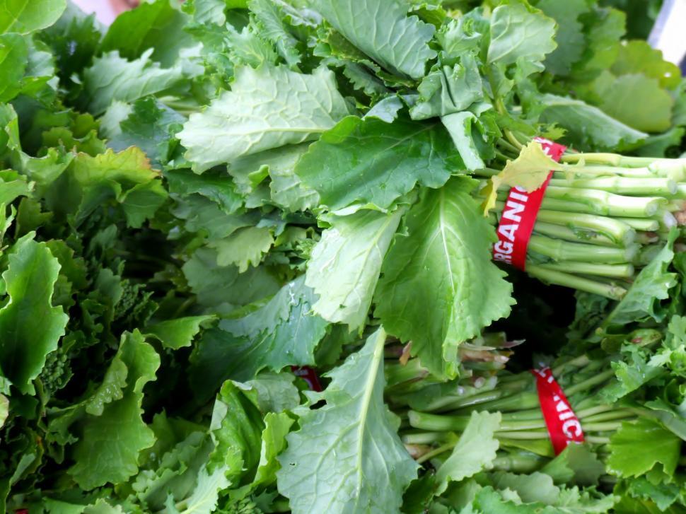 Free Image of Rapini 