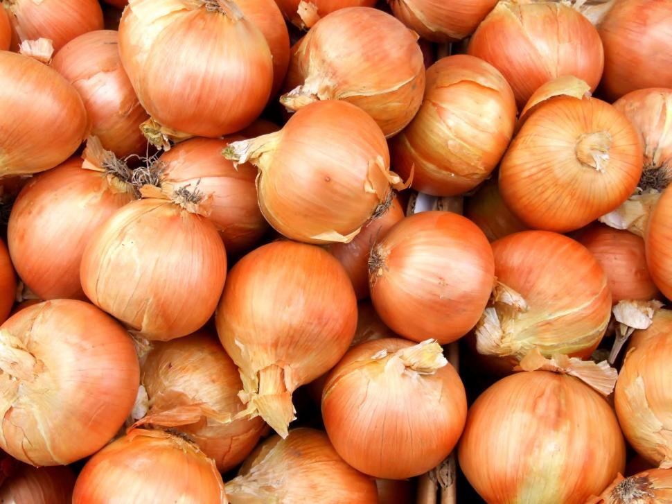 Free Image of Onions 