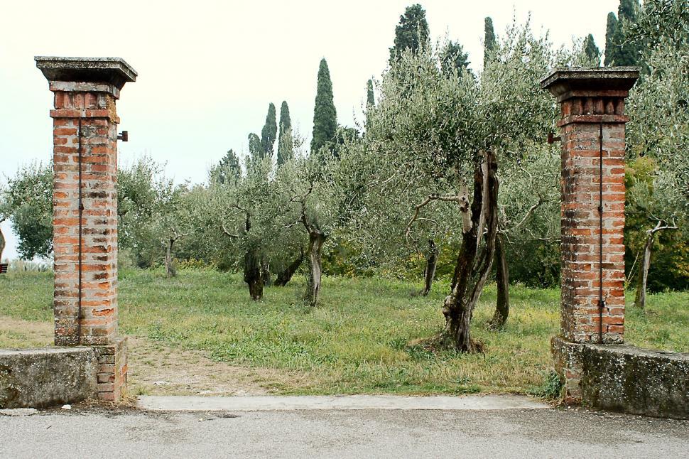 Free Image of The gate 