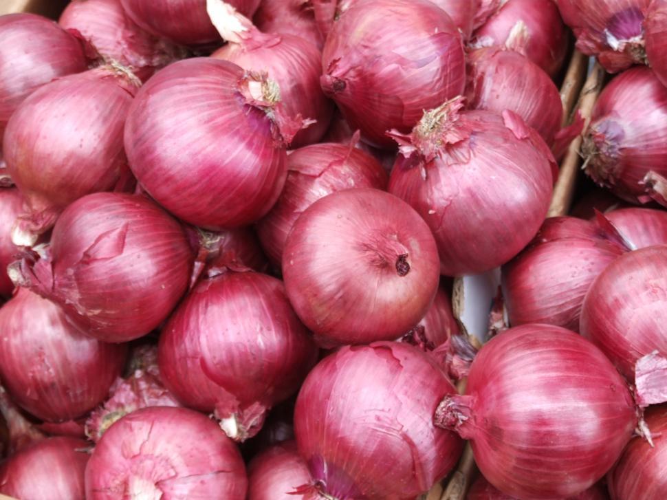 Free Image of Onions 