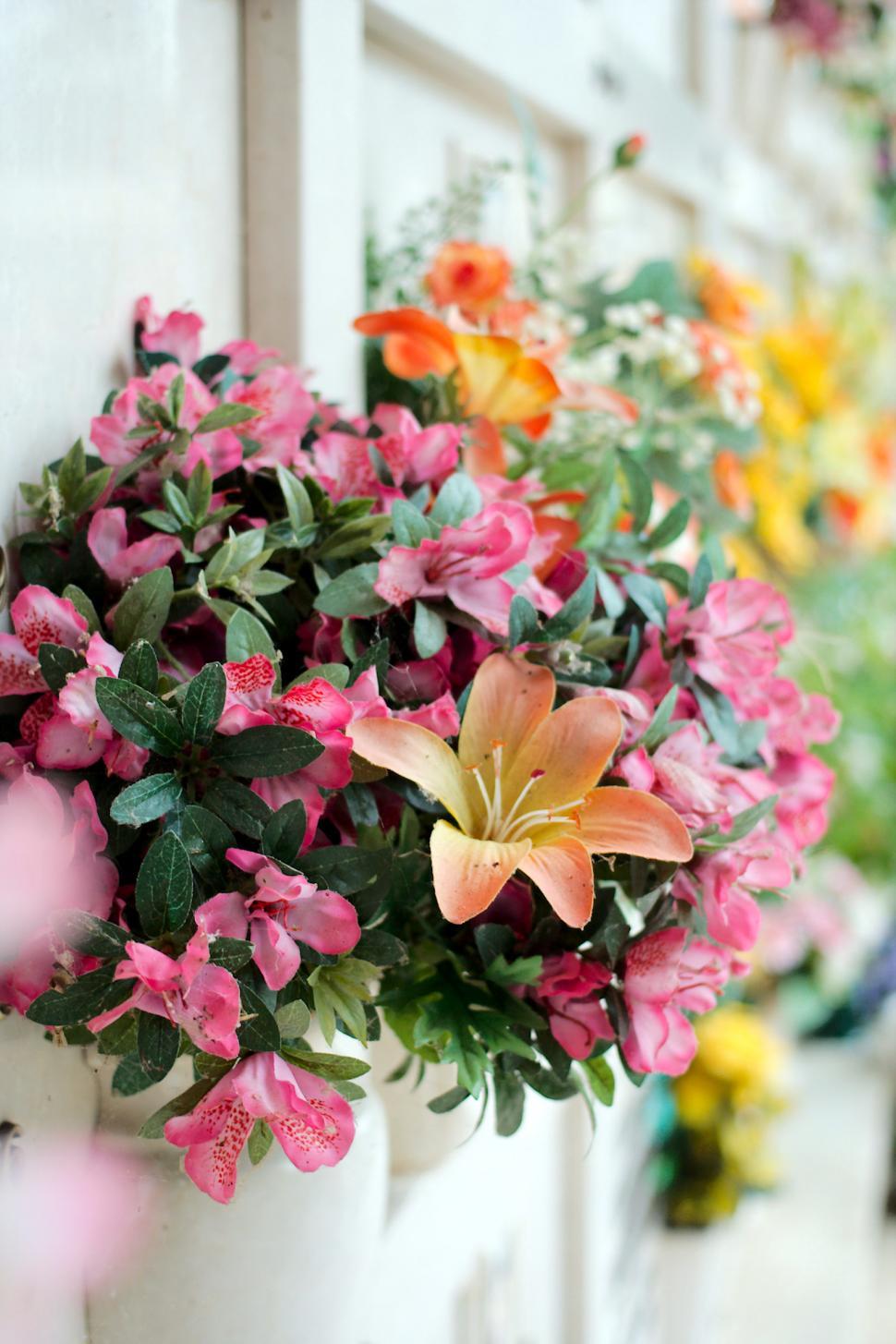 Free Image of Flowers 