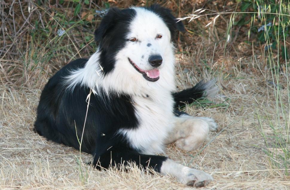 Free Image of Mack 