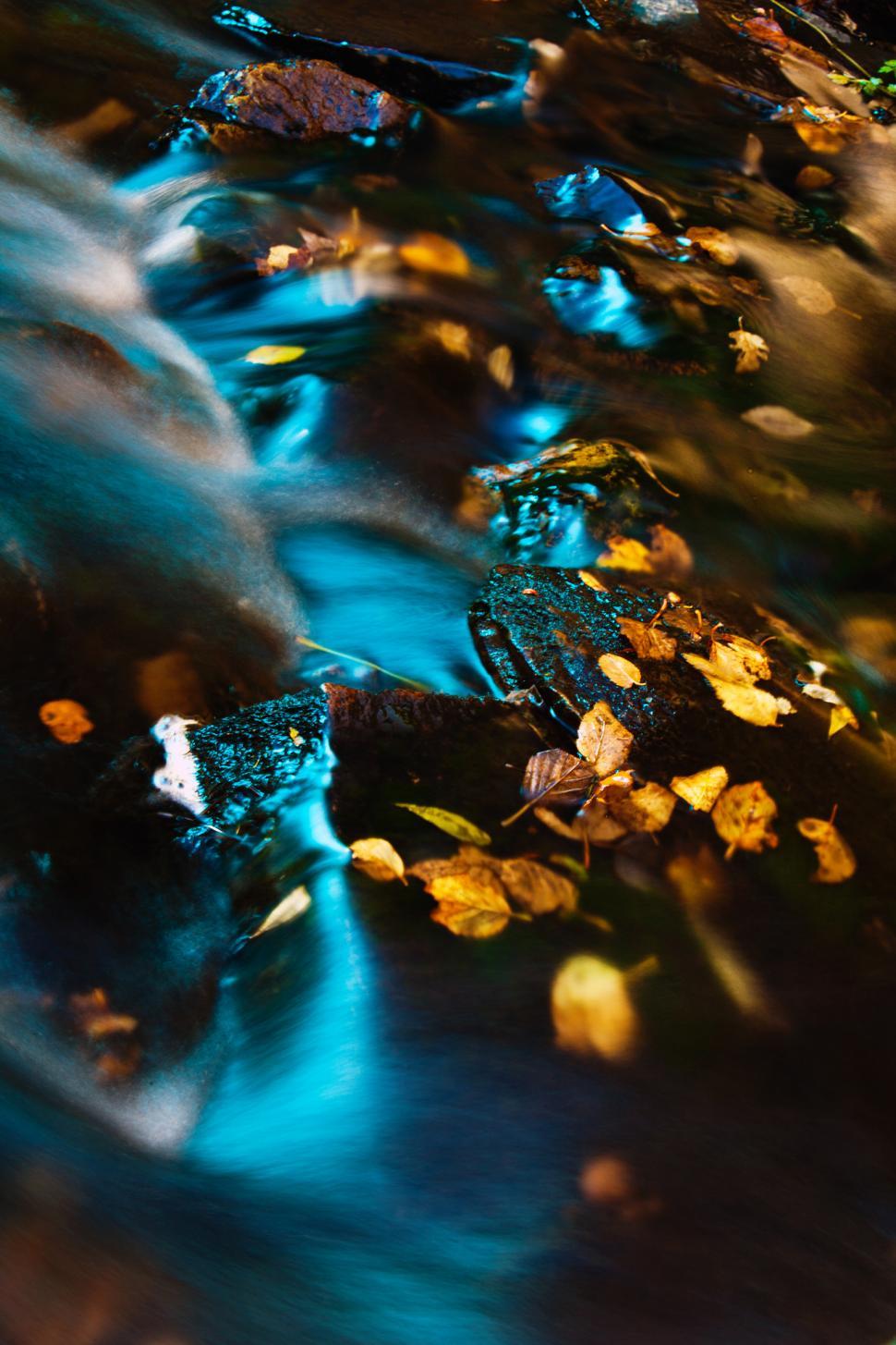 Free Image of Autumn Stream 