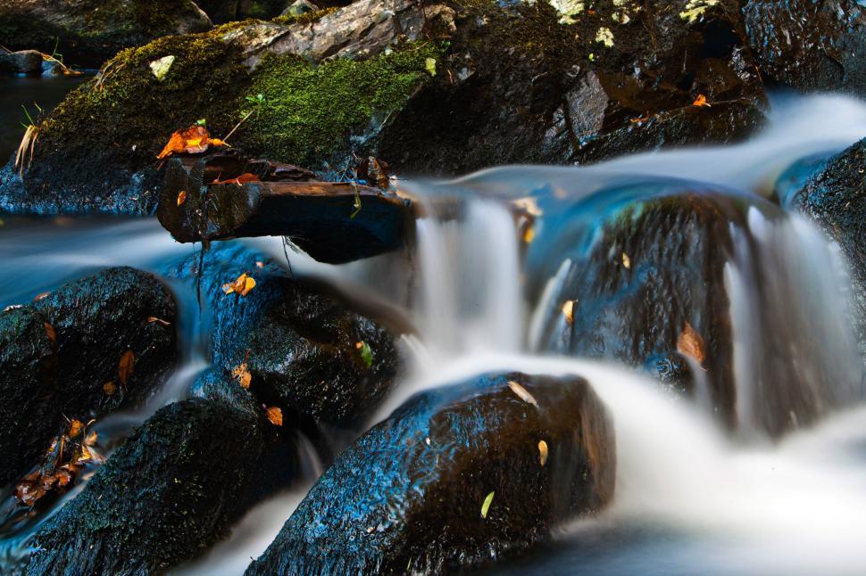 Free Image of Autumn Stream 