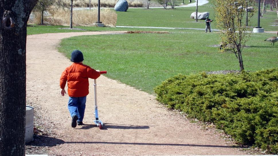 Free Image of A Walk in the Park 