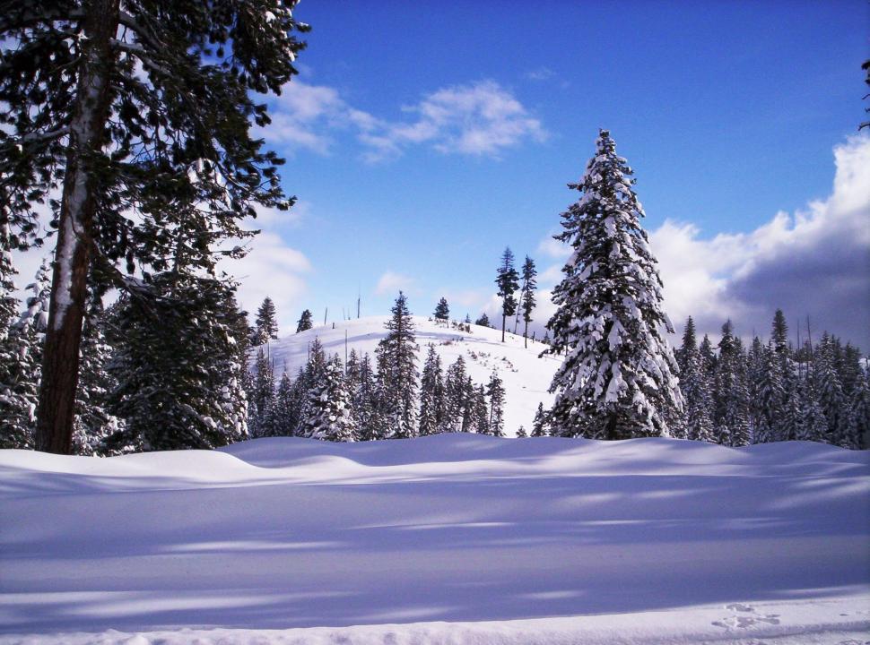 Free Image of Winter in Idaho 