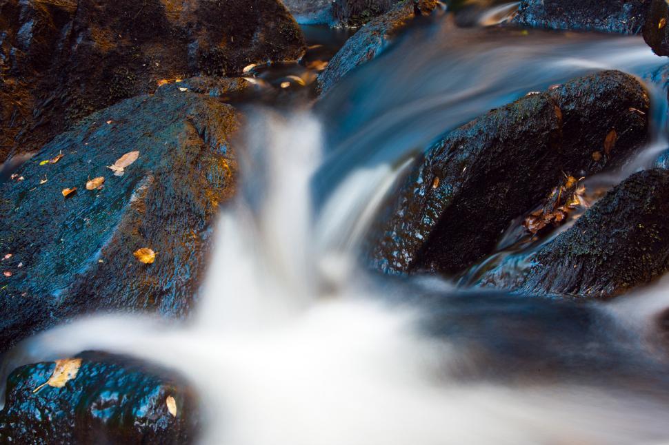 Free Image of Autumn Stream 