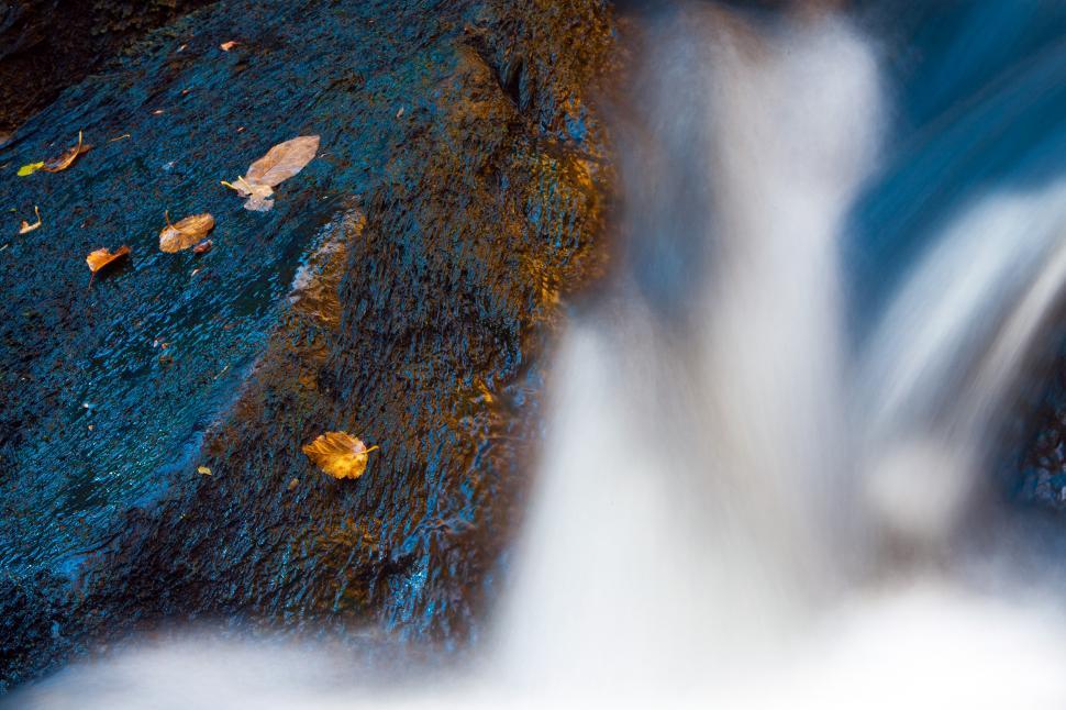 Free Image of Autumn Stream 