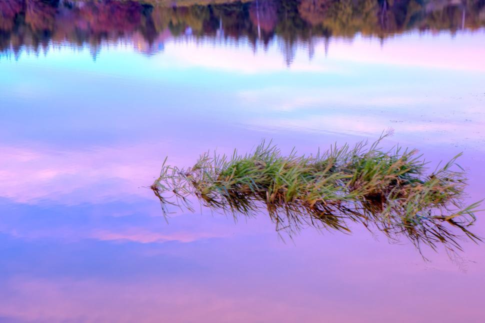 Free Image of Autumn Lake 
