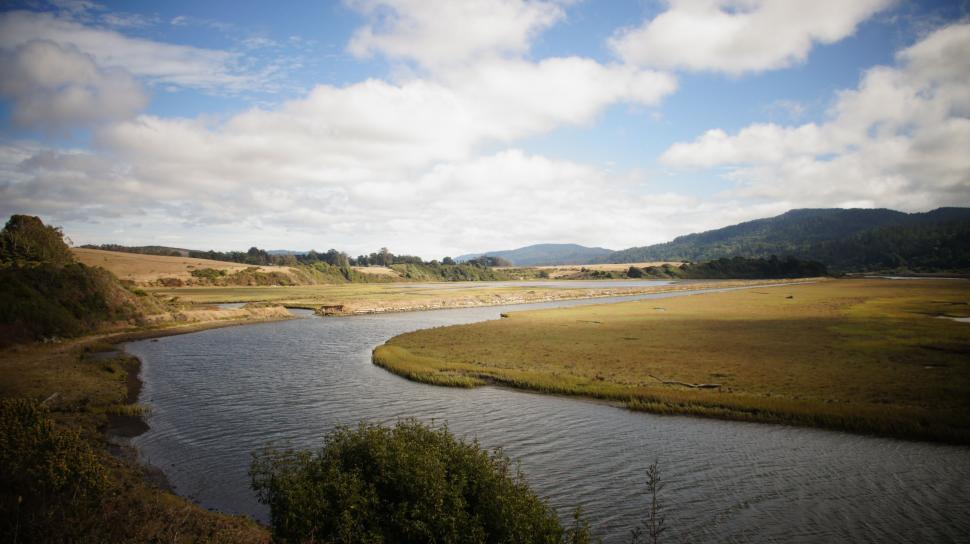 Free Image of River Along the Coast 
