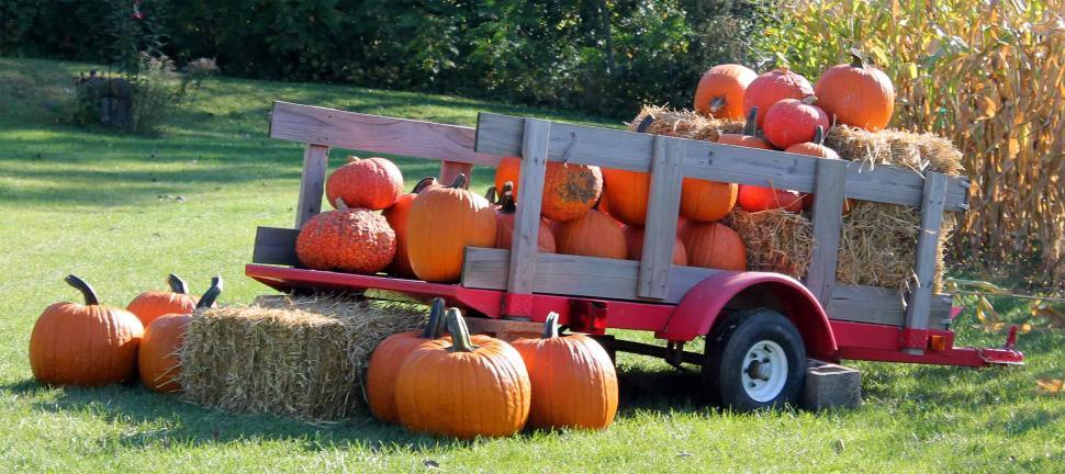 Free Image of Pumpkins in a wagon 