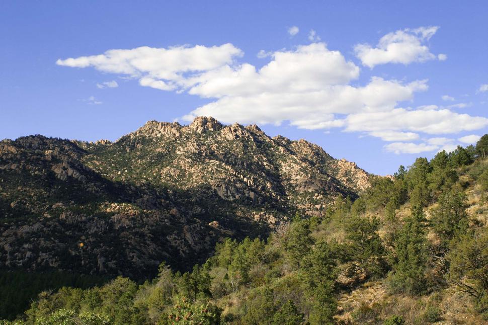 Free Image of Northern Arizona wilderness 