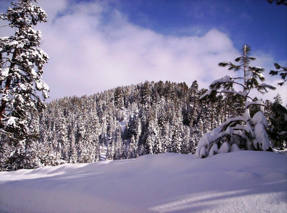 Free Image of Mountaintop 