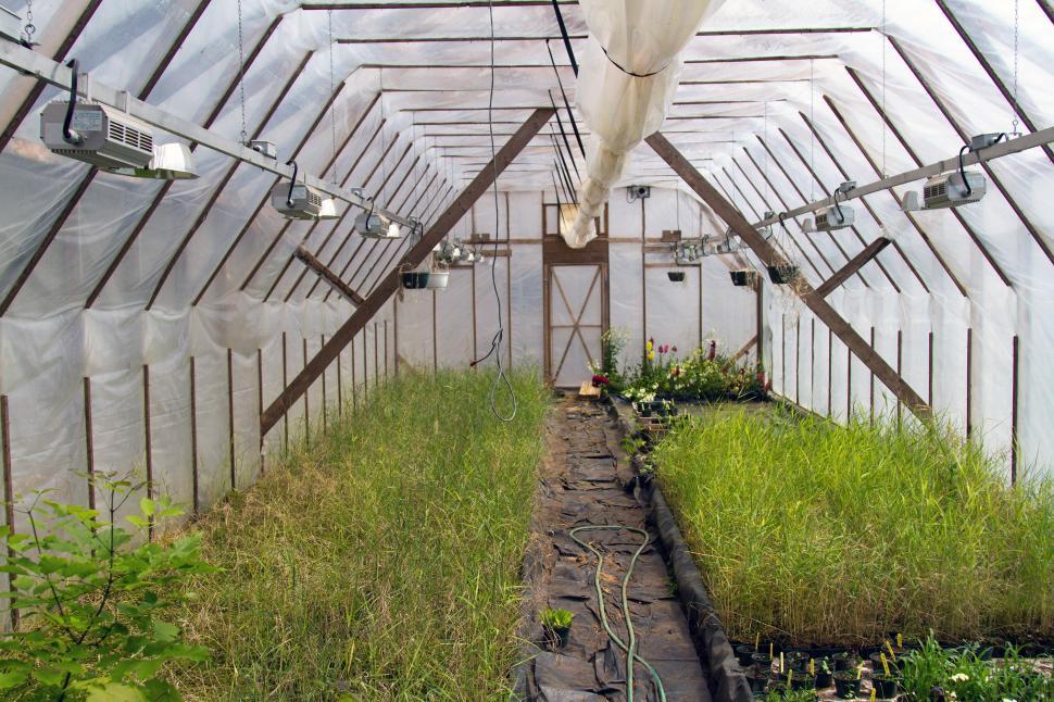 Free Image of Greenhouse 