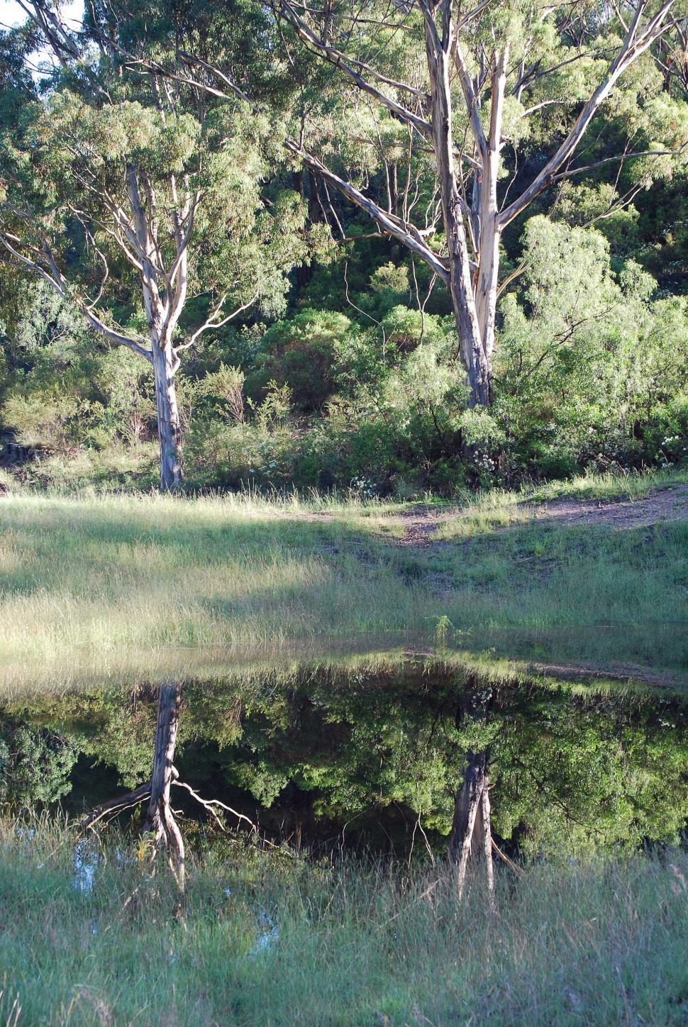 Free Image of Reflections 