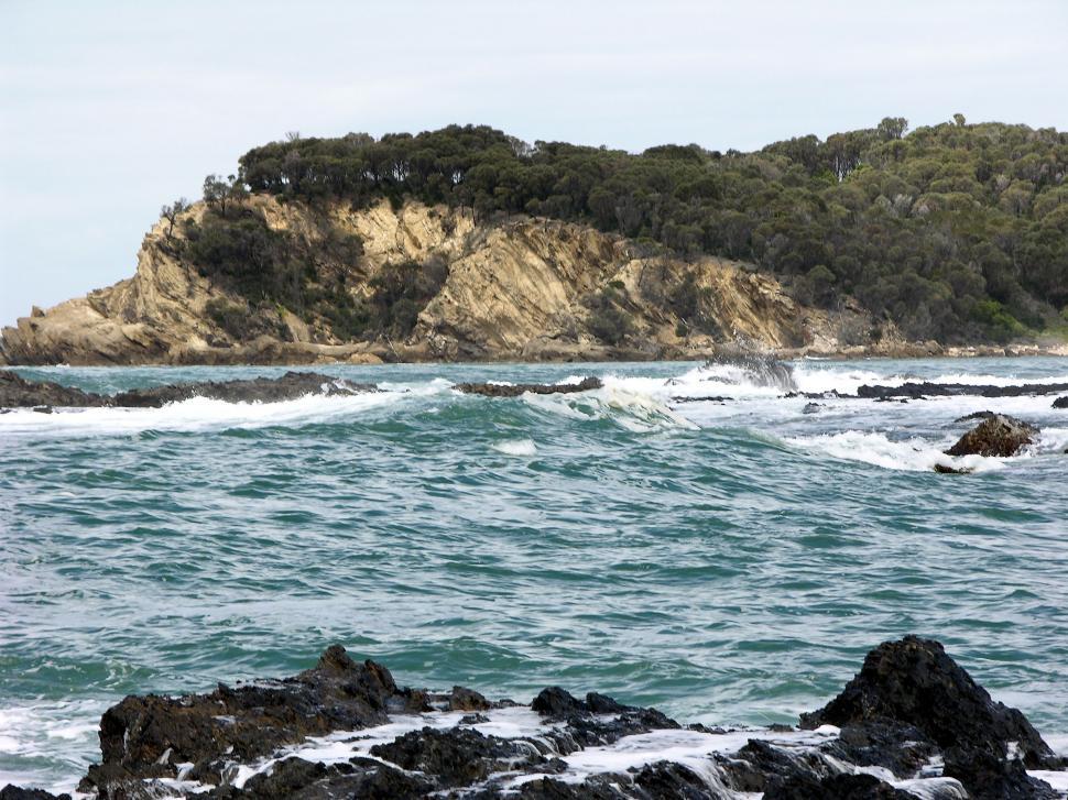 Free Image of Bird Standing on Rock Near Ocean 
