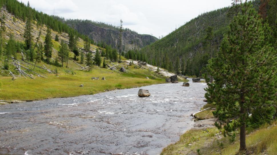 Free Image of Yellowstone River 
