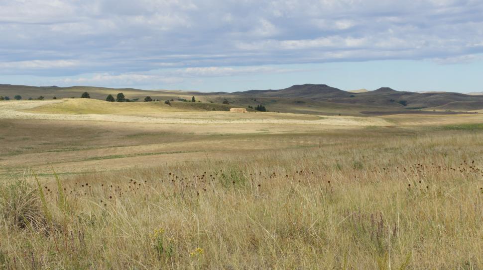 Free Image of Rolling Hills 