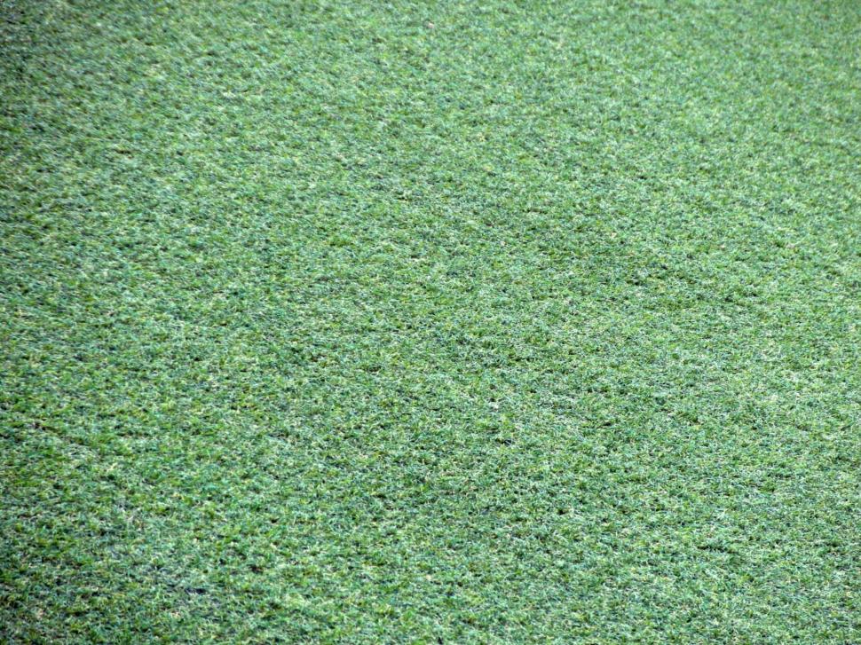 Free Image of Artificial Grass Background 