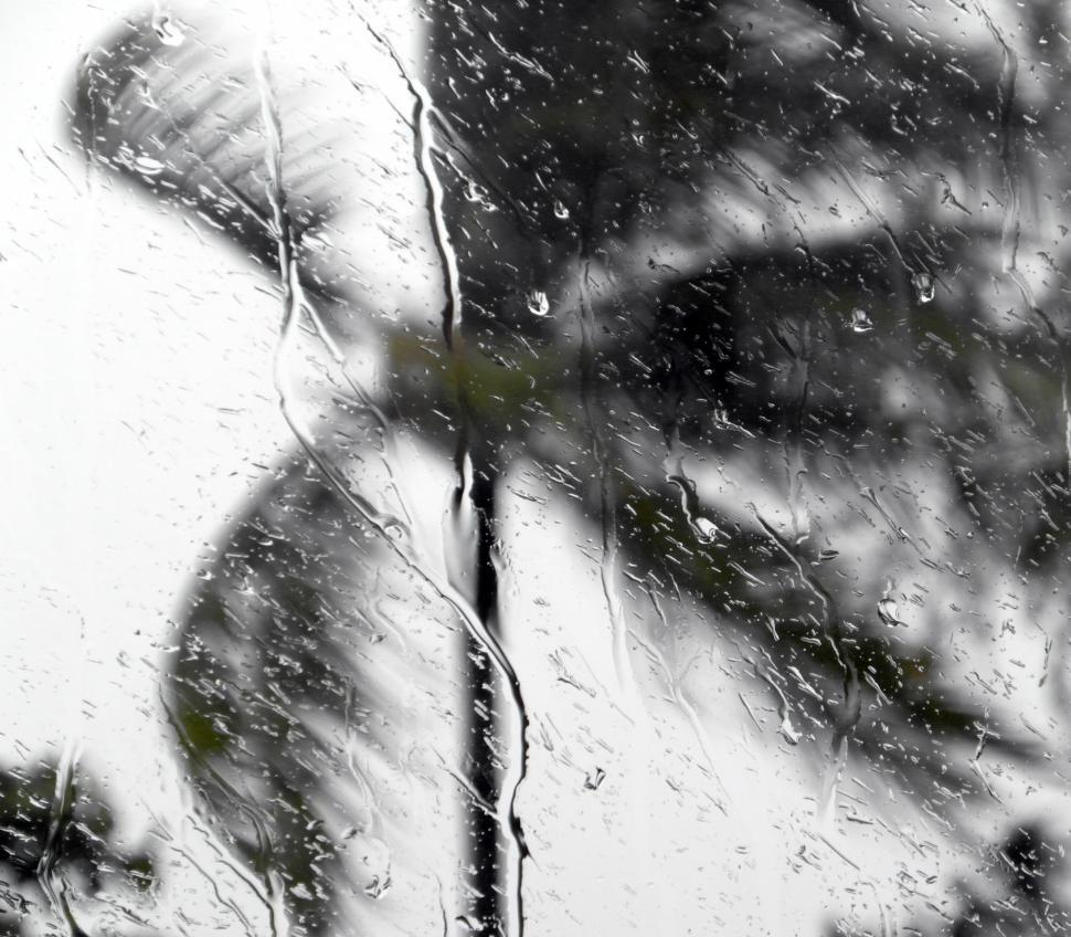 Free Image of Tropical Storm Window Raindrops 
