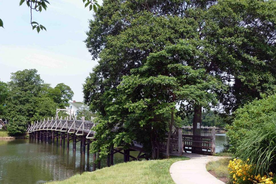 Free Image of Footbridge across lake 