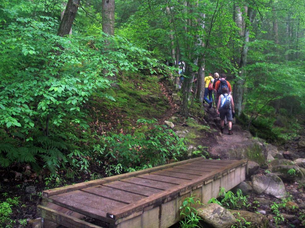 Free Image of Small Wooden Footbridge 