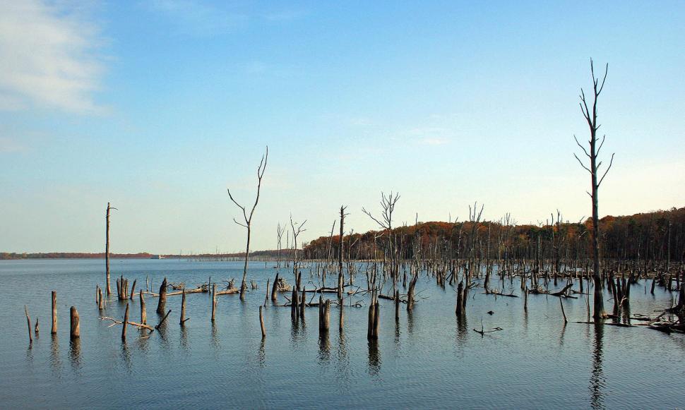Free Image of Manasquan Reservoir 