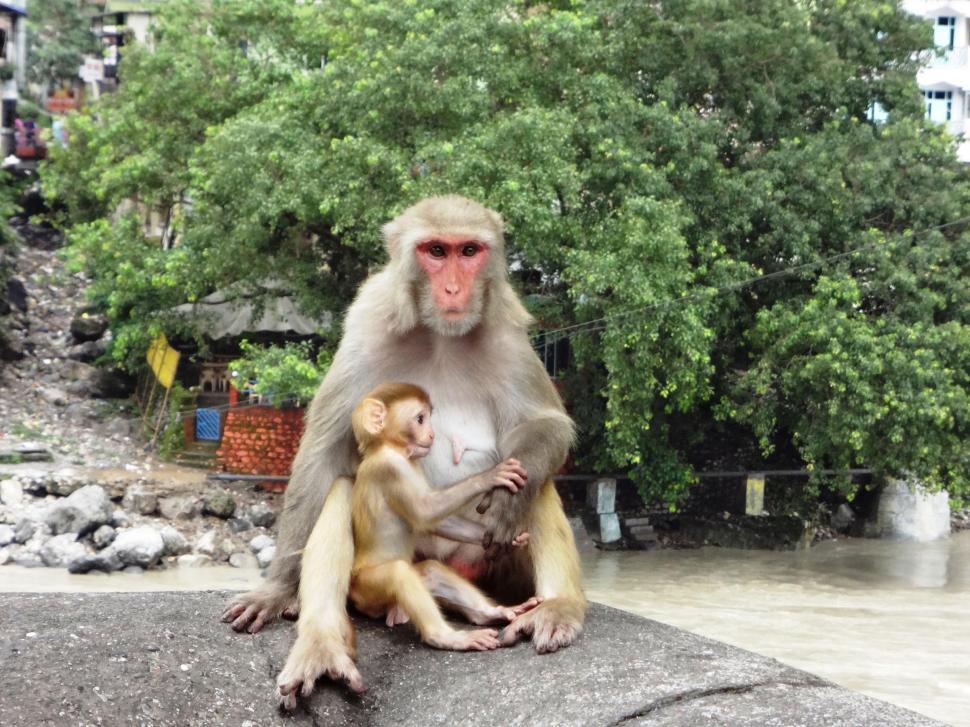 Free Image of Motherhood		 