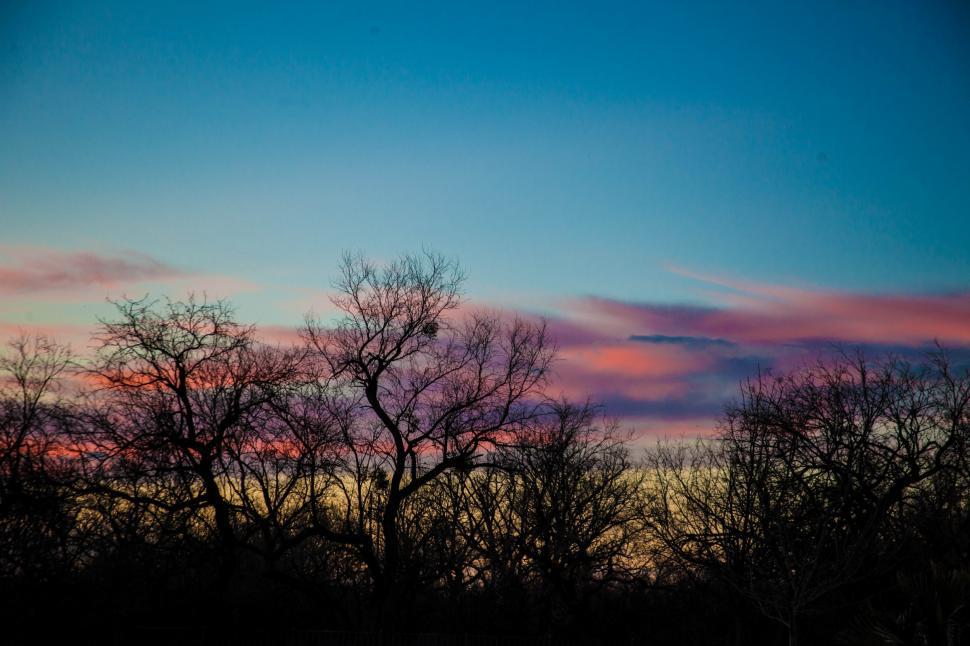 Free Image of Pretty sunsets 