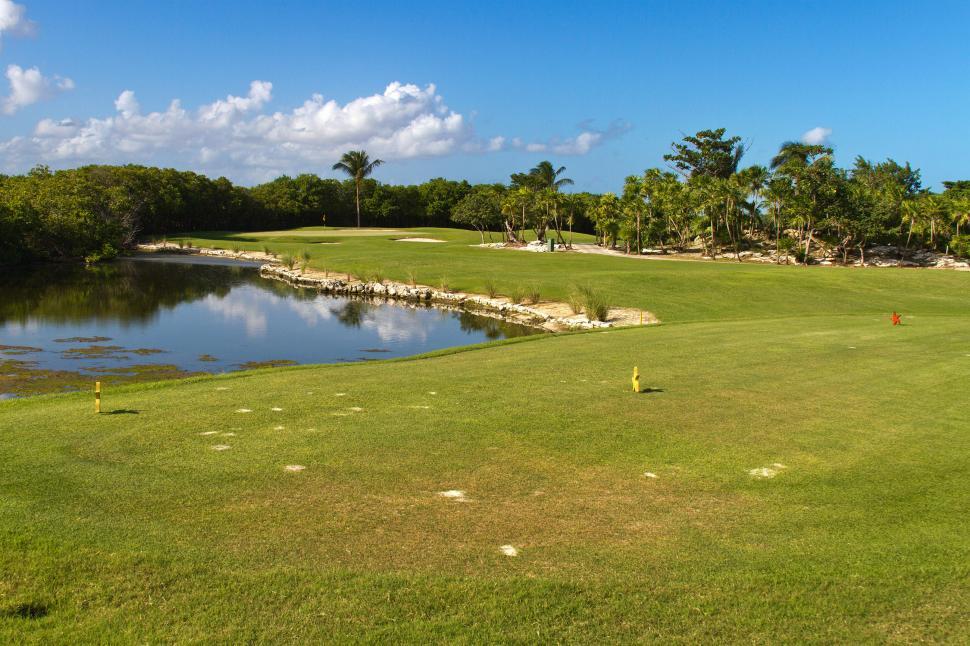 Free Image of Golf 