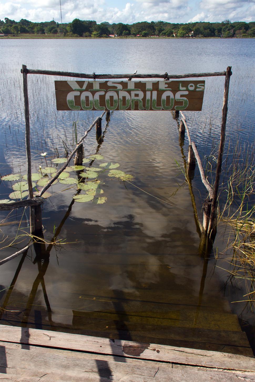 Free Image of Crocodiles 