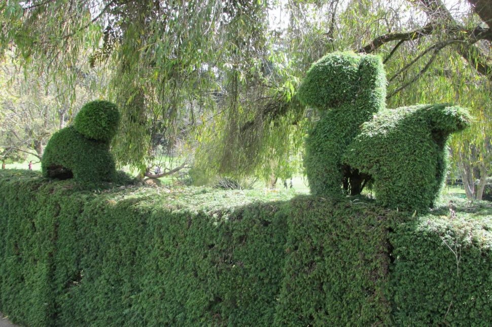 Free Image of Gardening 