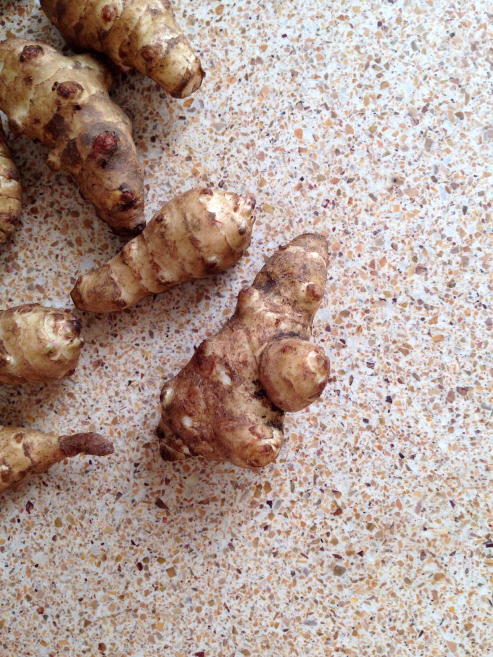 Free Image of Jerusalem Artichoke 