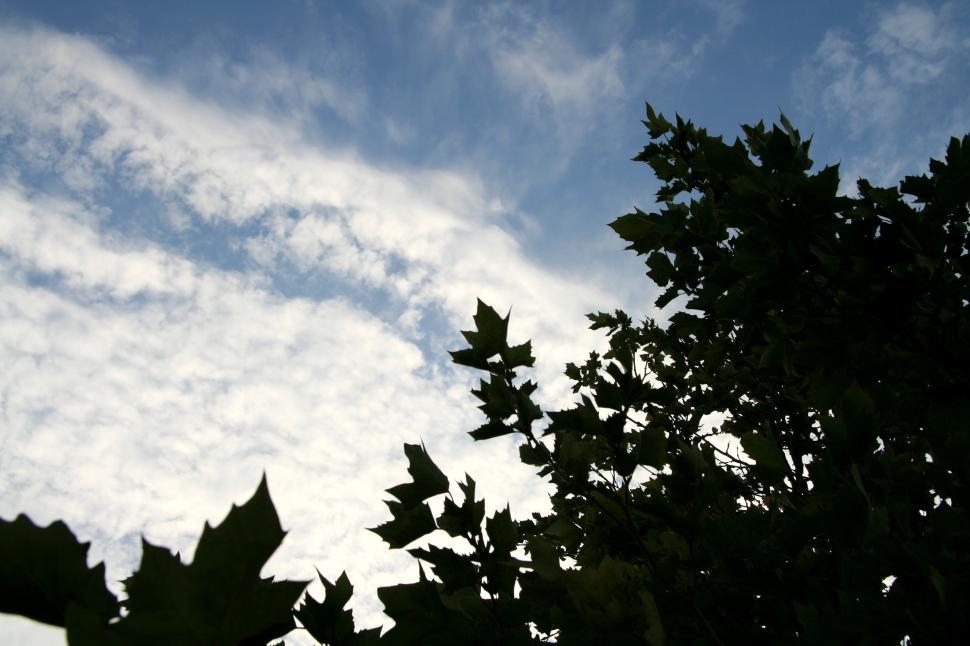 Free Image of Daydreaming 