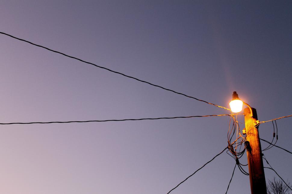 Free Image of Bird Perched on Street Light 