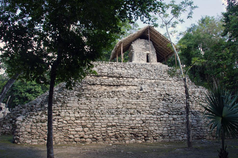 Free Image of Coba 