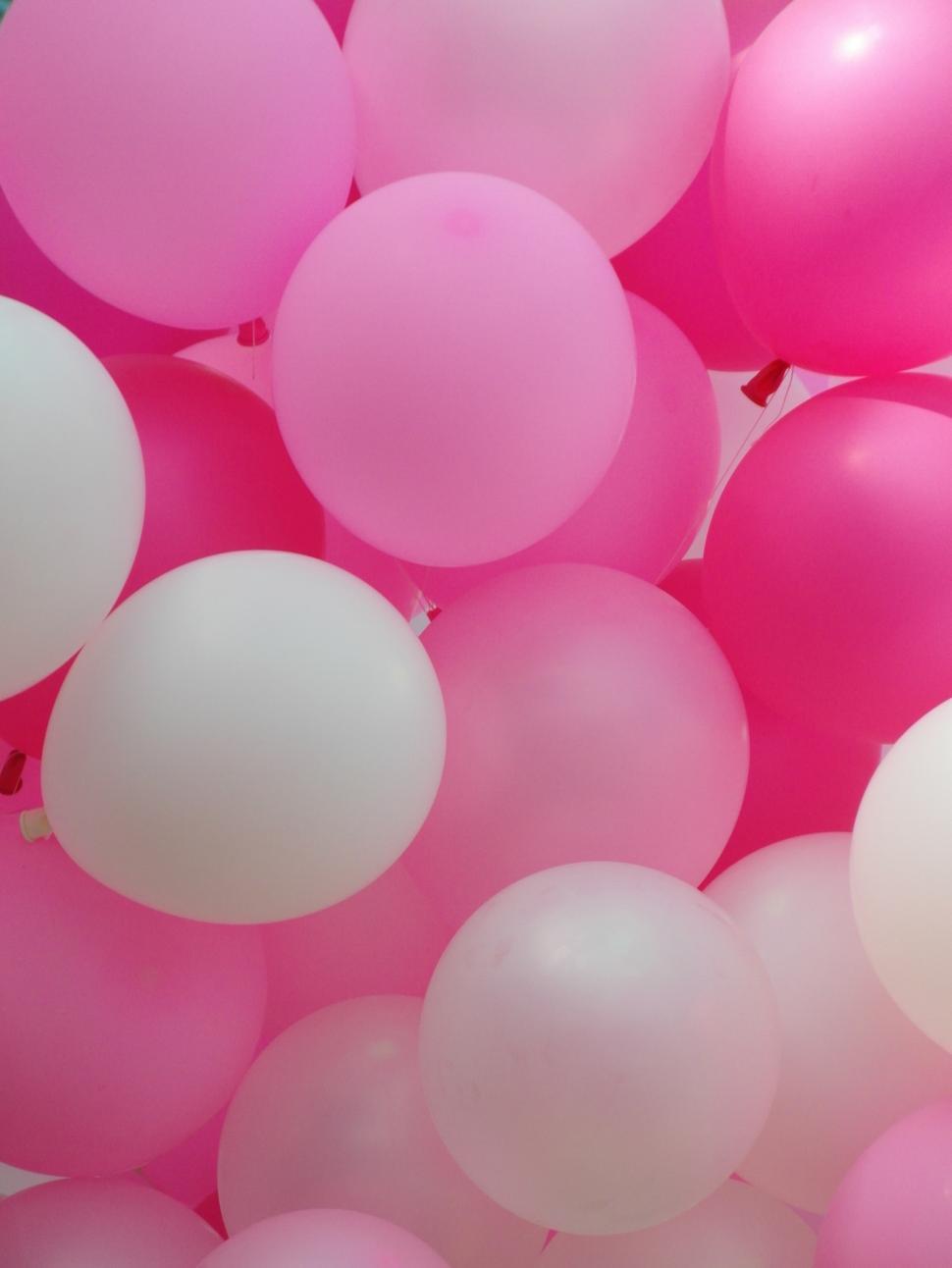 Free Image of Pink Balloons 