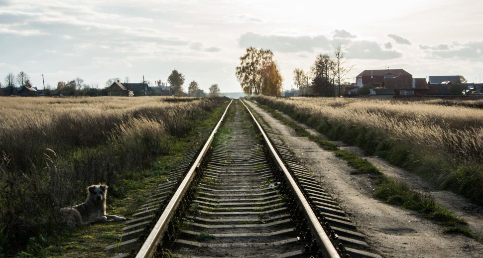 Free Image of Railway.  