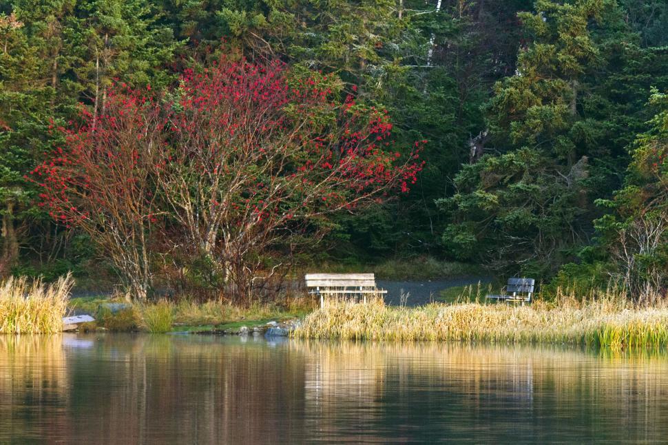 Free Image of Lake reflection 