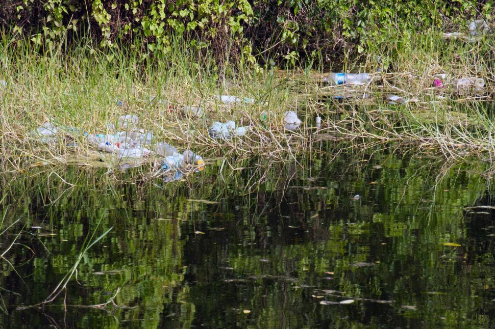 Free Image of Water Pollution 